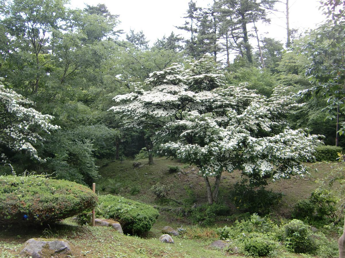 Hale Makawao Daisen (Tottori) Exterior photo